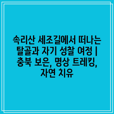 속리산 세조길에서 떠나는 탈골과 자기 성찰 여정 | 충북 보은, 명상 트레킹, 자연 치유