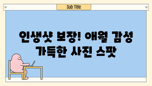 애월이 선사하는 제주도 서쪽 코스 여행| 숨겨진 명소 & 맛집 완벽 가이드 | 제주 여행, 서쪽 코스, 애월, 추천