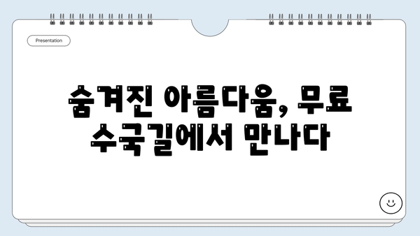 제주도 서쪽 무료 수국길 탐험| 숨겨진 아름다움을 찾아 떠나는 여행 | 제주도, 수국, 무료, 여행지, 가볼만한곳