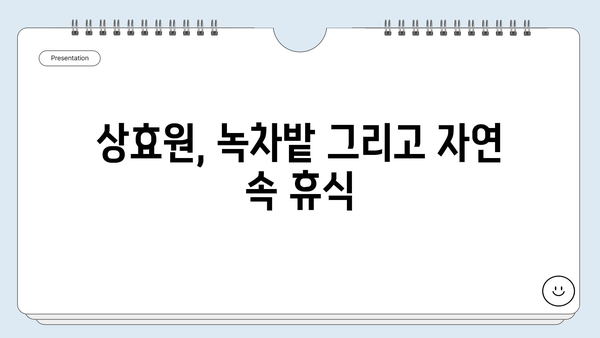 제주 서귀포 여행 코스 추천| 상효원부터 다크투어리즘까지 | 서귀포 가볼만한 곳, 여행 일정, 숨겨진 명소