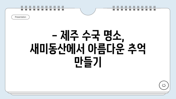 제주도 조천 수국 명소, 새미동산 수국정원 개화 시기 & 탐방 가이드 | 제주 여행, 수국, 6월 축제, 꽃길