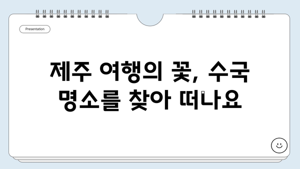 제주도 수국 개화시기| 새미동산과 조천 수국 정원에서 만나는 푸른 낭만 | 제주 여행, 수국 명소, 6월 여행