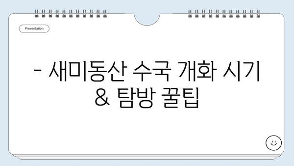 제주도 조천 수국 명소, 새미동산 수국정원 개화 시기 & 탐방 가이드 | 제주 여행, 수국, 6월 축제, 꽃길