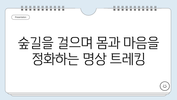 속리산 세조길에서 떠나는 탈골과 자기 성찰 여정 | 충북 보은, 명상 트레킹, 자연 치유