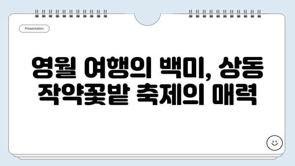 강원도 영월의 숨겨진 매력, 상동 작약꽃밭 축제 | 영월 여행, 5월 축제, 꽃 축제, 사진 명소