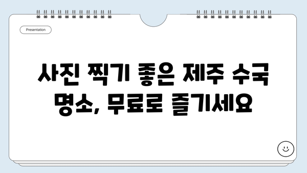 제주도 서쪽 무료 수국길 탐험| 숨겨진 아름다움을 찾아 떠나는 여행 | 제주도, 수국, 무료, 여행지, 가볼만한곳