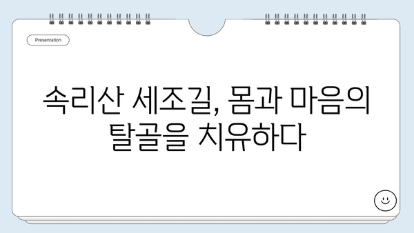 속리산 세조길에서 떠나는 탈골과 자기 성찰 여정 | 충북 보은, 명상 트레킹, 자연 치유