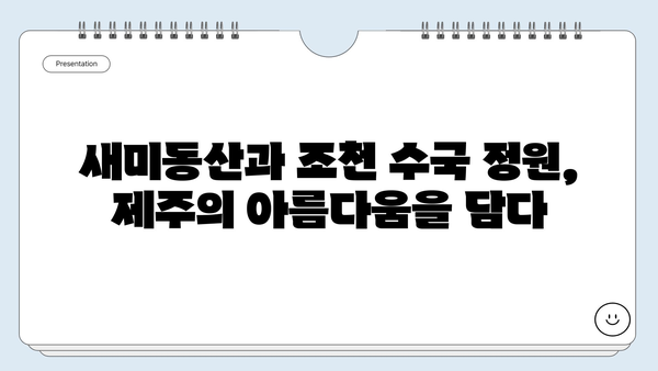 제주도 수국 개화시기| 새미동산과 조천 수국 정원에서 만나는 푸른 낭만 | 제주 여행, 수국 명소, 6월 여행