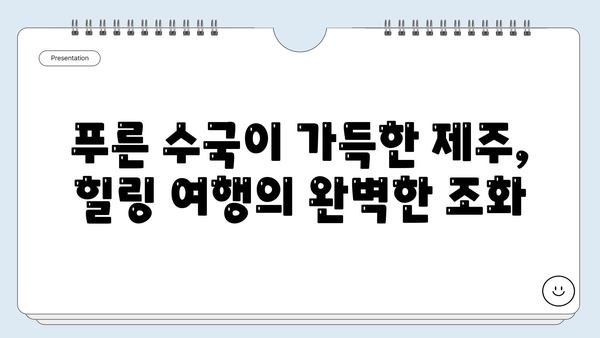 제주도 수국 개화시기| 새미동산과 조천 수국 정원에서 만나는 푸른 낭만 | 제주 여행, 수국 명소, 6월 여행