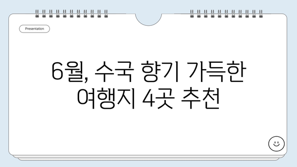 6월 수국 축제, 전국 최고의 수국 명소 4곳 탐방 가이드 | 수국 명소, 수국 축제, 여름 여행, 6월 여행, 꽃 축제