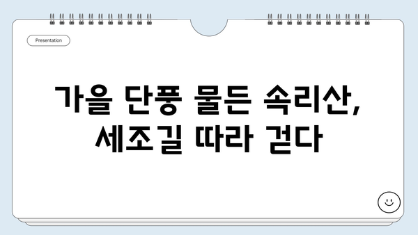 보은 속리산 세조길 완벽 정복| 1박 2일 여행 코스 추천 | 속리산, 세조길, 보은 여행, 가을 단풍, 등산 코스