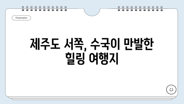 제주도 서쪽 무료 수국길 탐험| 숨겨진 아름다움을 찾아 떠나는 여행 | 제주도, 수국, 무료, 여행지, 가볼만한곳