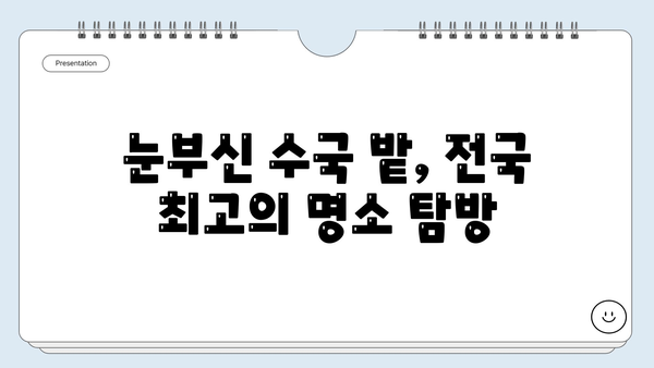 6월 수국 축제, 전국 최고의 수국 명소 4곳 탐방 가이드 | 수국 명소, 수국 축제, 여름 여행, 6월 여행, 꽃 축제