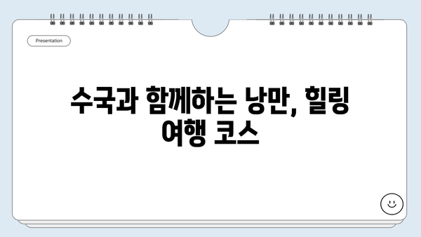 6월 수국 축제, 전국 최고의 수국 명소 4곳 탐방 가이드 | 수국 명소, 수국 축제, 여름 여행, 6월 여행, 꽃 축제