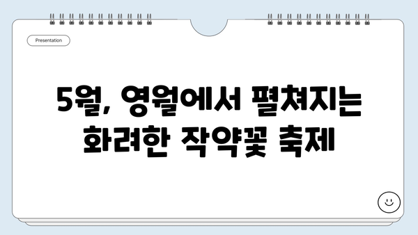 강원도 영월의 숨겨진 매력, 상동 작약꽃밭 축제 | 영월 여행, 5월 축제, 꽃 축제, 사진 명소