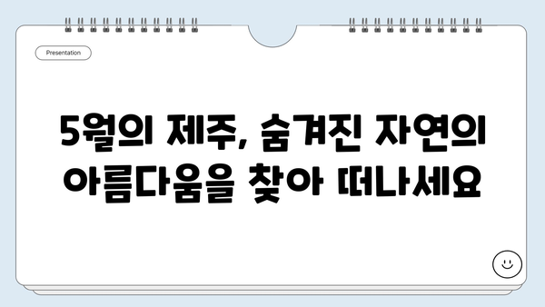 제주도 5월, 숨겨진 자연의 아름다움을 만나다| 놓치지 말아야 할 8곳 | 제주도 여행, 5월 여행, 자연 명소, 비밀스러운 풍경