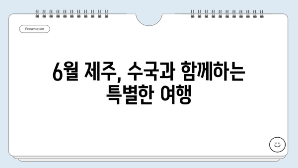 제주도 수국 개화시기| 새미동산과 조천 수국 정원에서 만나는 푸른 낭만 | 제주 여행, 수국 명소, 6월 여행