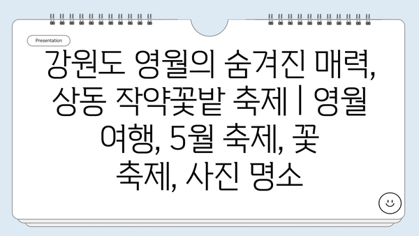 강원도 영월의 숨겨진 매력, 상동 작약꽃밭 축제 | 영월 여행, 5월 축제, 꽃 축제, 사진 명소