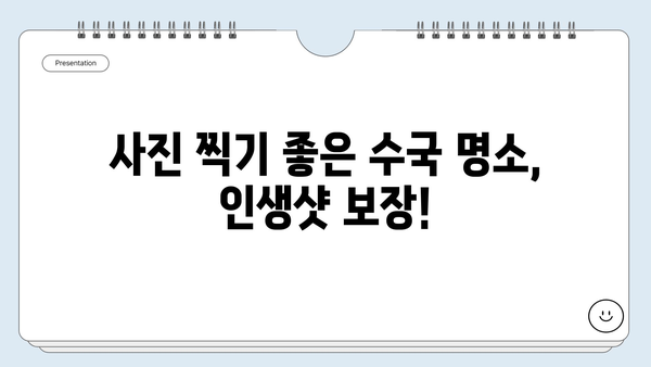 6월 수국 축제, 전국 최고의 수국 명소 4곳 탐방 가이드 | 수국 명소, 수국 축제, 여름 여행, 6월 여행, 꽃 축제