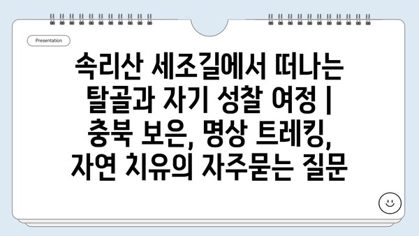 속리산 세조길에서 떠나는 탈골과 자기 성찰 여정 | 충북 보은, 명상 트레킹, 자연 치유