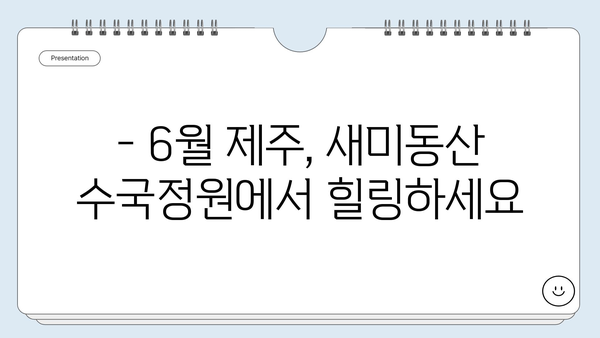 제주도 조천 수국 명소, 새미동산 수국정원 개화 시기 & 탐방 가이드 | 제주 여행, 수국, 6월 축제, 꽃길