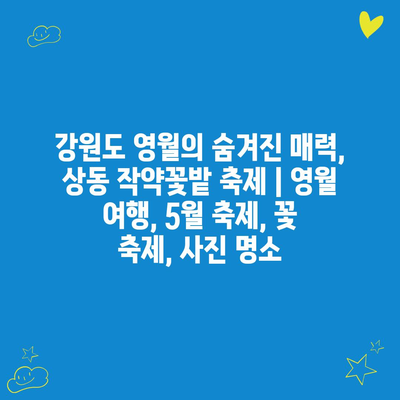 강원도 영월의 숨겨진 매력, 상동 작약꽃밭 축제 | 영월 여행, 5월 축제, 꽃 축제, 사진 명소