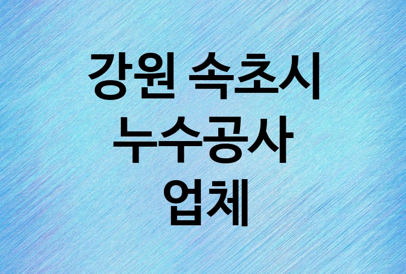 강원 속초시 누수공사 업체 추천 BEST 4 | 배관, 베란다, 빌라, 천장, 화장실, 욕실, 옥상 방수, 누수탐지