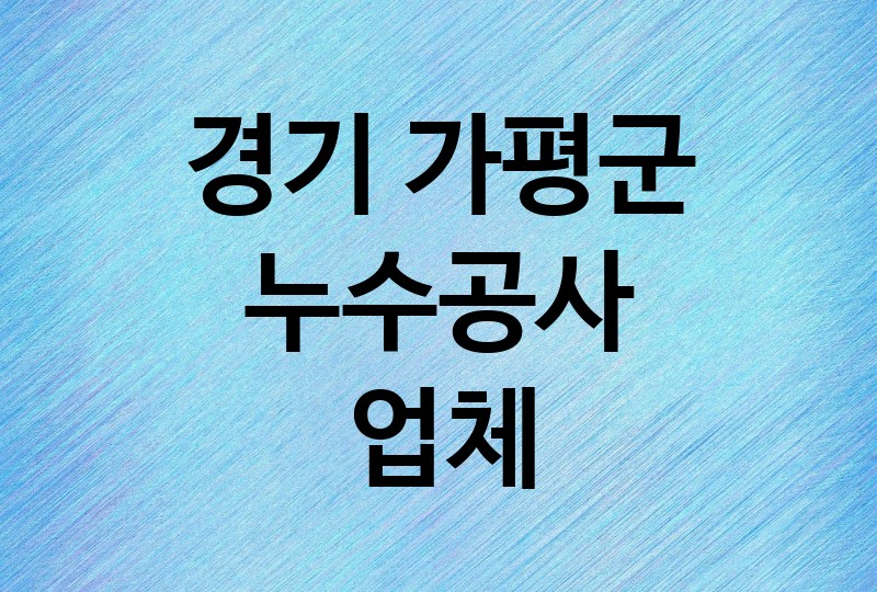 경기 가평군 누수공사 업체 추천 BEST 4 | 배관, 베란다, 빌라, 천장, 화장실, 욕실, 옥상 방수, 누수탐지