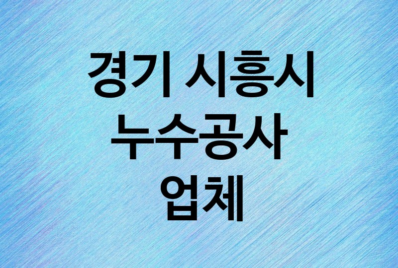 경기 시흥시 누수공사 업체 추천 BEST 5 | 배관, 베란다, 빌라, 천장, 화장실, 욕실, 옥상 방수, 누수탐지