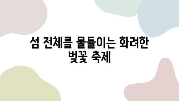 제주도 봄 벚꽃 명소 탐방| 🌸  활짝 핀 꽃길 따라 떠나는 낭만 여행 | 제주도 벚꽃, 봄 여행, 벚꽃 명소, 꽃놀이