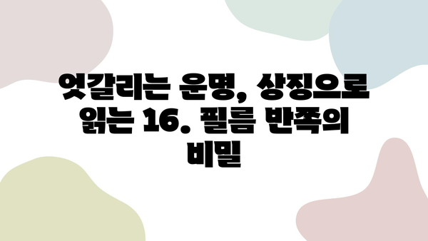 16. 필름 반쪽| 숨겨진 의미와 해석 | 영화 분석, 상징, 감독 인터뷰