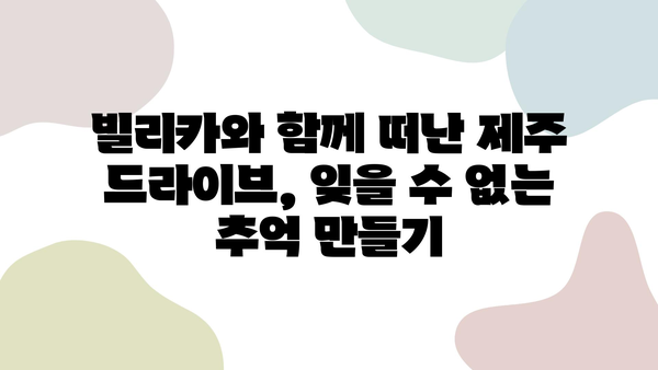 제주 렌트카 명가 빌리카와 함께 떠난 잊지 못할 추억 | 제주 여행, 렌터카, 빌리카, 추천, 후기