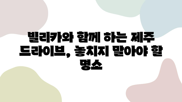 제주 여행, 빌리카와 함께 완벽한 차량 렌트하기| 추천 모델 & 꿀팁 | 제주 렌트카, 빌리카, 여행 팁