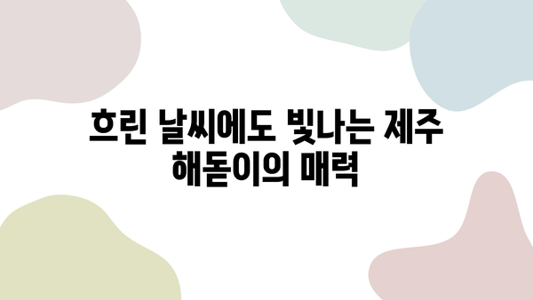 제주도 비오는 날, 해돋이의 따뜻한 빛이 만드는 감동적인 순간 | 제주도 여행, 해돋이 명소, 비오는 날 여행