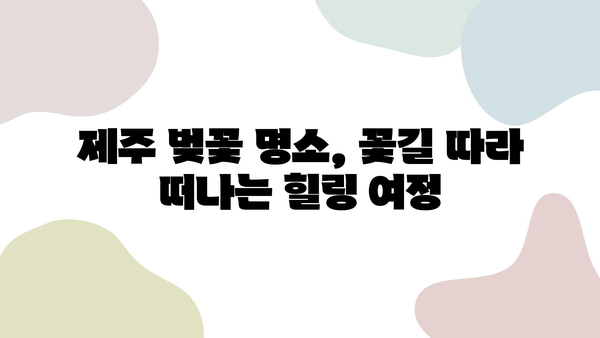 제주도 봄 벚꽃 명소 탐방| 🌸  활짝 핀 꽃길 따라 떠나는 낭만 여행 | 제주도 벚꽃, 봄 여행, 벚꽃 명소, 꽃놀이