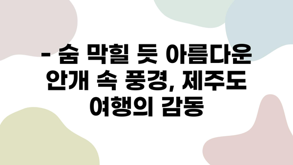 안개 속으로 사라지는 한라산의 신비| 구름에 휩싸인 제주도의 매력 | 한라산, 제주도 여행, 안개, 풍경, 사진