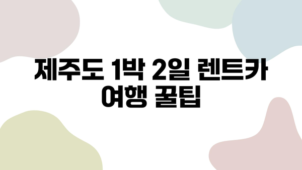 제주도 1박 2일 렌트카 여행, 놓치면 후회할 꿀팁 & 얻은 교훈 | 제주도 여행, 렌트카, 가이드, 추천