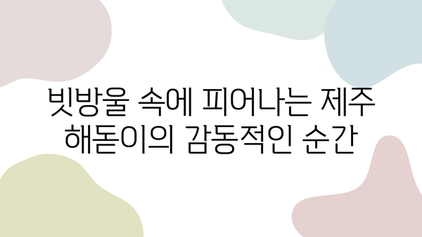 제주도 비오는 날, 해돋이의 따뜻한 빛이 만드는 감동적인 순간 | 제주도 여행, 해돋이 명소, 비오는 날 여행