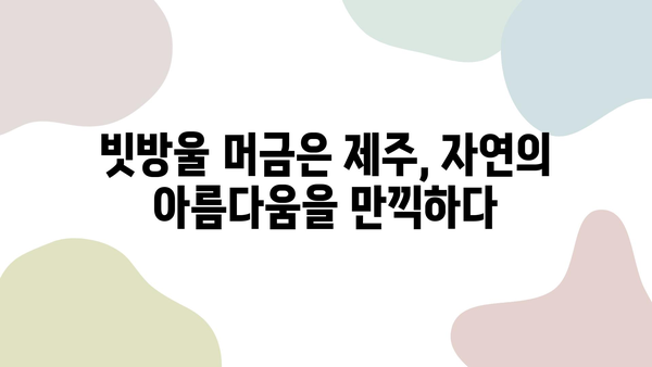 비에 젖은 제주도의 맛보기, 청신한 자연의 향기| 빗속 제주 여행 코스 추천 | 제주도 여행, 비오는 날, 빗속 여행, 자연 풍경, 맛집