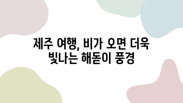 제주도 비오는 날, 해돋이의 따뜻한 빛이 만드는 감동적인 순간 | 제주도 여행, 해돋이 명소, 비오는 날 여행