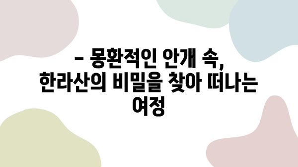 안개 속으로 사라지는 한라산의 신비| 구름에 휩싸인 제주도의 매력 | 한라산, 제주도 여행, 안개, 풍경, 사진