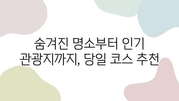 제주 당일치기 여행 렌트카 완벽 가이드| 코스 추천부터 주차 정보까지 | 제주도, 당일 여행, 렌트카, 여행 정보, 주차 팁