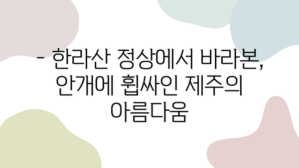 안개 속으로 사라지는 한라산의 신비| 구름에 휩싸인 제주도의 매력 | 한라산, 제주도 여행, 안개, 풍경, 사진