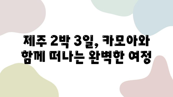 카모아 제주도 2박 3일 렌트카 여행| 완벽 가이드 | 제주도 여행, 렌트카 예약, 카모아 사용 후기, 여행 정보