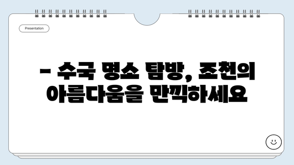 제주 조천 수국 축제| 6월의 아름다움을 만끽하는 완벽한 여행 가이드 | 제주도 여행, 수국 명소, 축제 정보, 조천읍