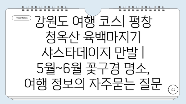 강원도 여행 코스| 평창 청옥산 육백마지기 샤스타데이지 만발 | 5월~6월 꽃구경 명소, 여행 정보