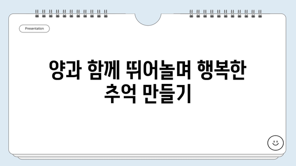 경남 양떼목장에서 아이와 함께 즐기는 특별한 체험| 양과 교감하며 먹이 주기 | 양떼목장, 가족여행, 아이와 함께