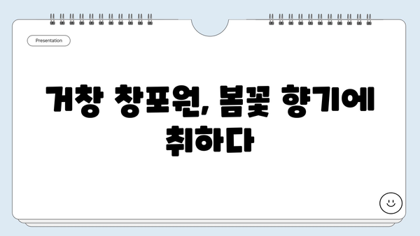 거창 창포원 꽃구경 완벽 가이드| 봄맞이 여행 코스 & 팁 | 창포원, 거창 여행, 봄꽃 축제, 가볼만한곳