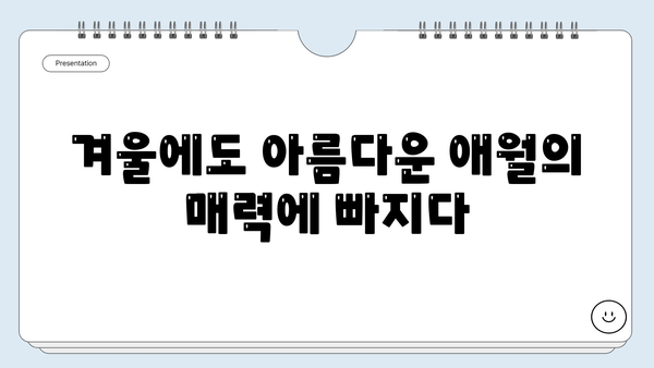 제주도 애월 겨울 여행| 서쪽 해안 드라이브 & 아름다운 수국길 | 제주도 여행, 애월 가볼만한곳, 겨울 여행지 추천