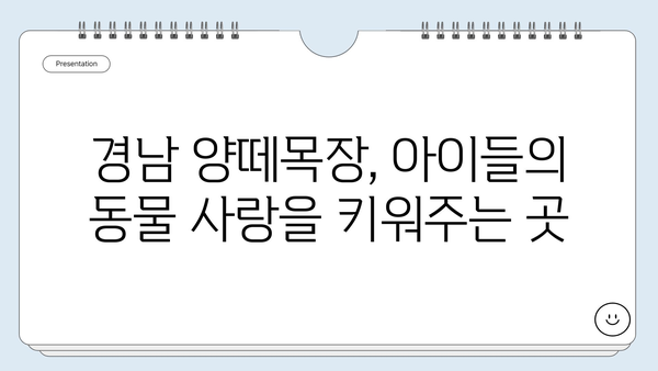 경남 양떼목장에서 아이와 함께 즐기는 특별한 체험| 양과 교감하며 먹이 주기 | 양떼목장, 가족여행, 아이와 함께